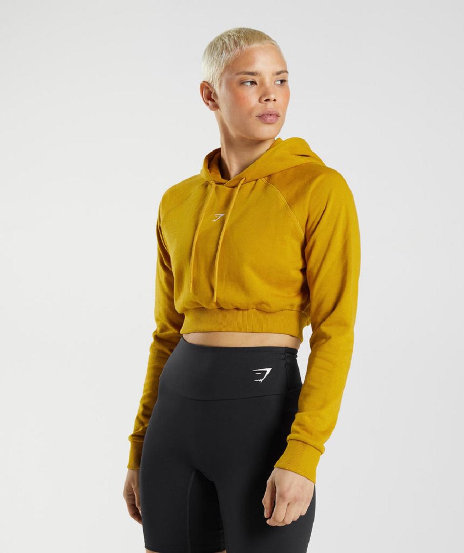 Sudadera Con Capucha Gymshark Entrenamiento Cropped Mujer Amarillo | CO 2020YXF